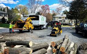 Best Commercial Tree Services  in Lansford, PA